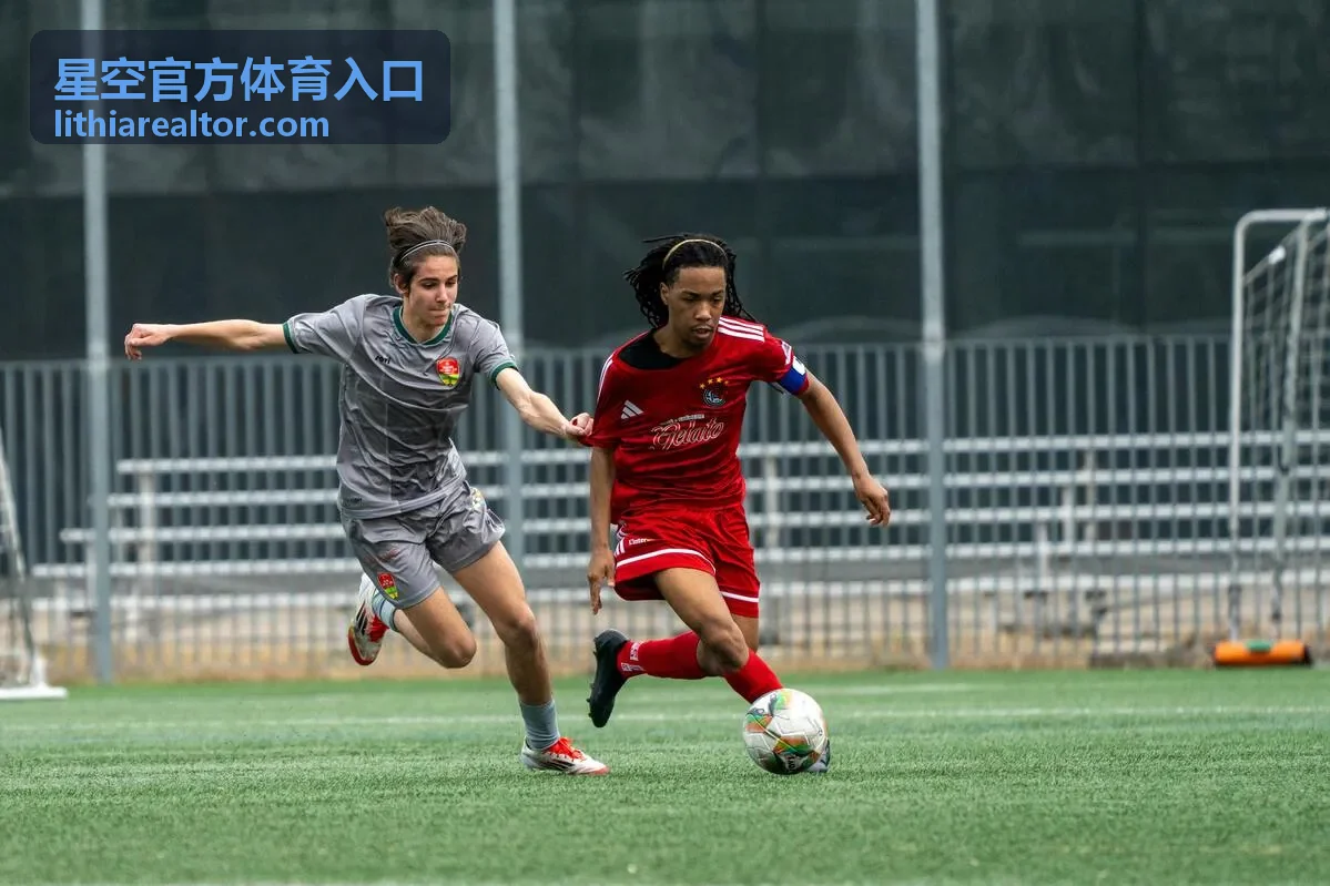 星空官方体育入口提交时限要求示意封面